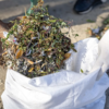 Garden Weed and Waste Removal with Weeding Services
