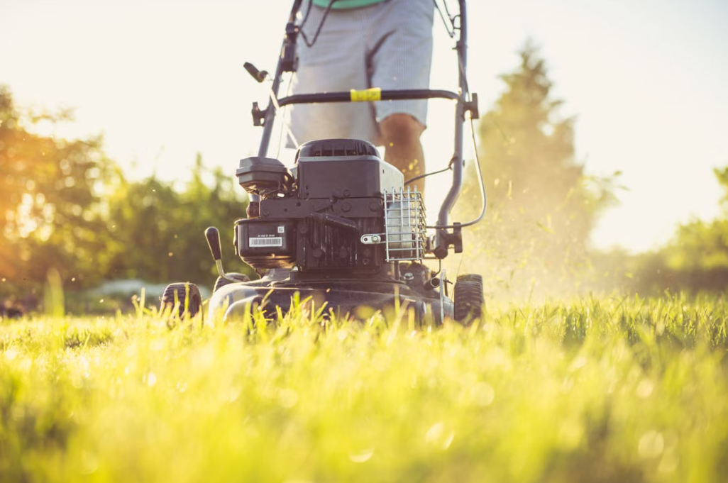 Professional Lawn Mowing Service | Efficient Lawn Trimming for a Fresh Look