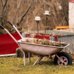 Garden Weed Removal | Garden Waste Collection and Transportation Service
