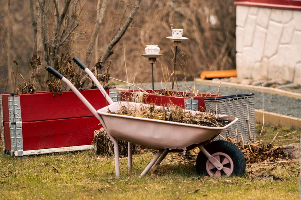 Garden Weed Removal | Garden Waste Collection and Transportation Service