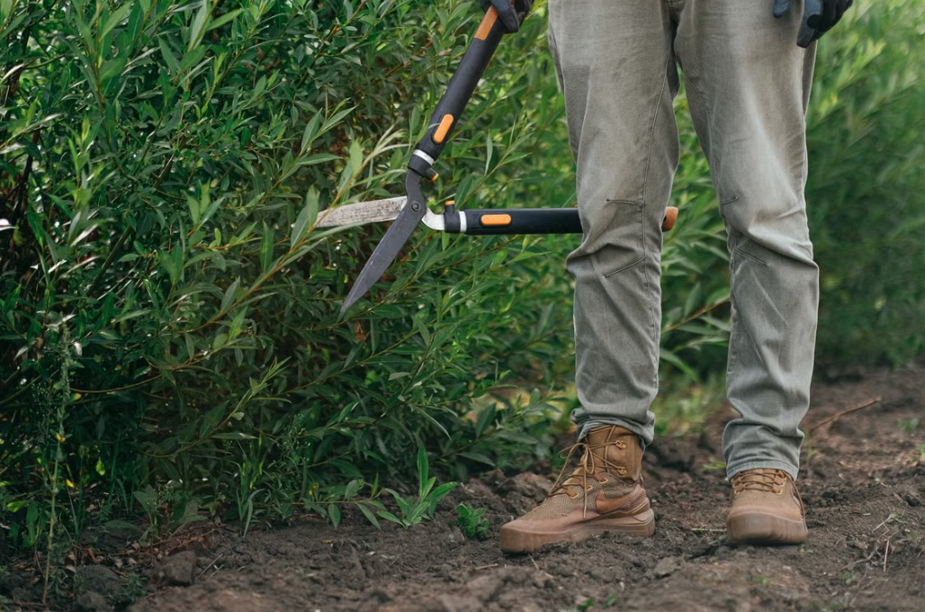 Garden Hedge and Shrub Shaping | Professional Pruning Service with Long-Handled Garden Shears