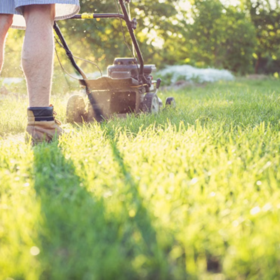 Sunset Garden Lawn Renewal | Large-Area Lawn Mowing and Maintenance Service