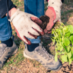 Refined Weed Removal Service for Your Yard