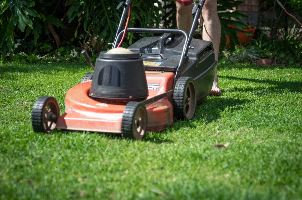 Quick Lawn Maintenance for Home Patios | On-site Weeding Service with Small Lawn Mowers