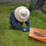 Exquisite Hand-Manual Weeding and Maintenance Service for Landscaped Gardens
