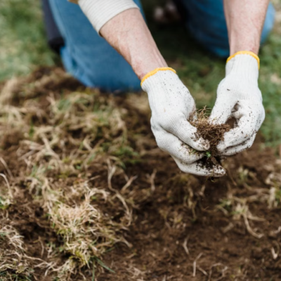 Soil Layer Weed Root Removal and Maintenance Service