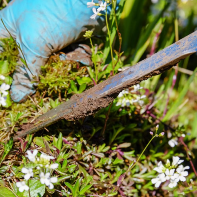 Precision Weeding and Pruning Service for Flower Beds and Flower Borders