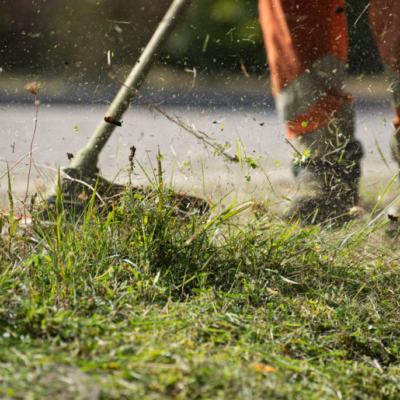 Weed Removal Service for Garden Edge Areas