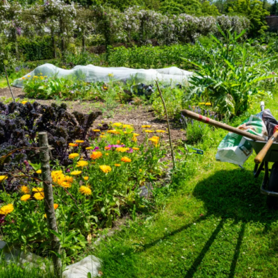 Full Gardening Tool On-Site Weeding and Maintenance Package